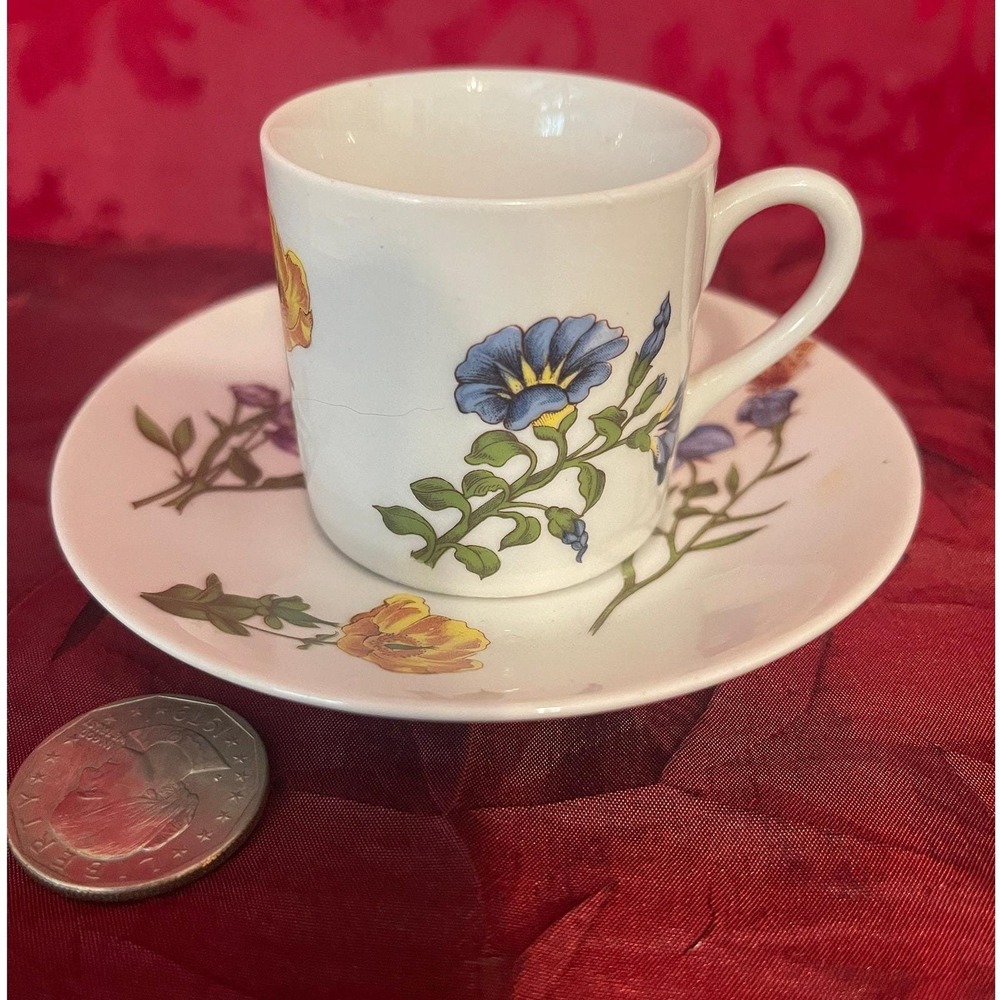 Vintage Cordon Bleu BIA Espresso Cup & Saucer Frieda Collection